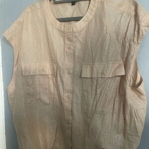 Express Beige Metallic Pinstripe Top with elastic waist.